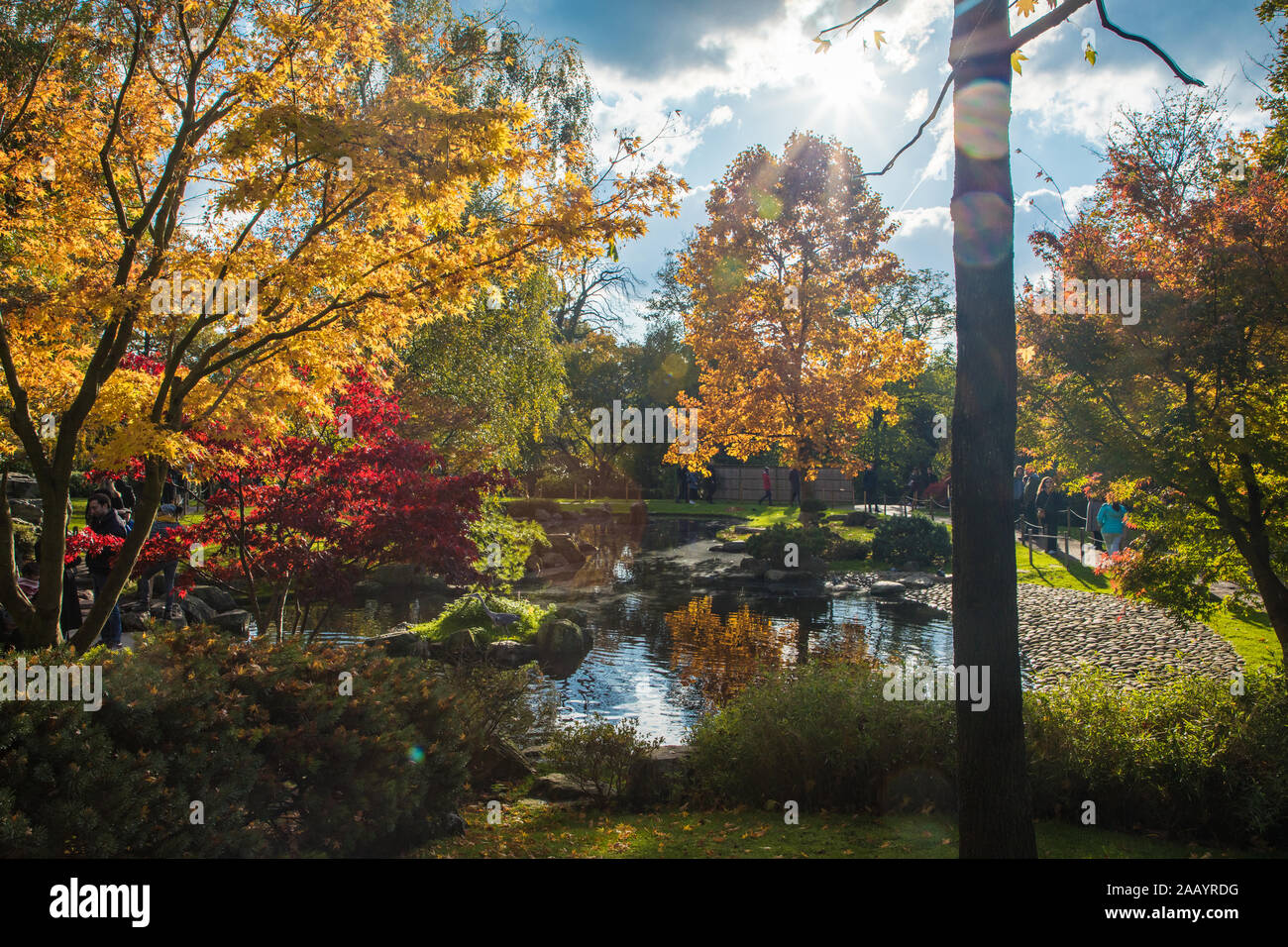 London, England, 10 Nov 2019. Bright Colors in Holland Park's Japanese Kyoto Garden. A place of serenity in the busy city of London. Stock Photo