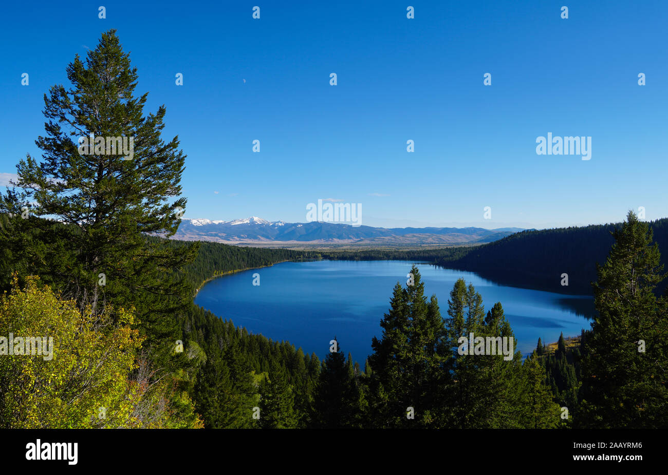 Blue meets green in this summer shot of a mountain lake in the beautiful Grand Tetons National Park. Stock Photo