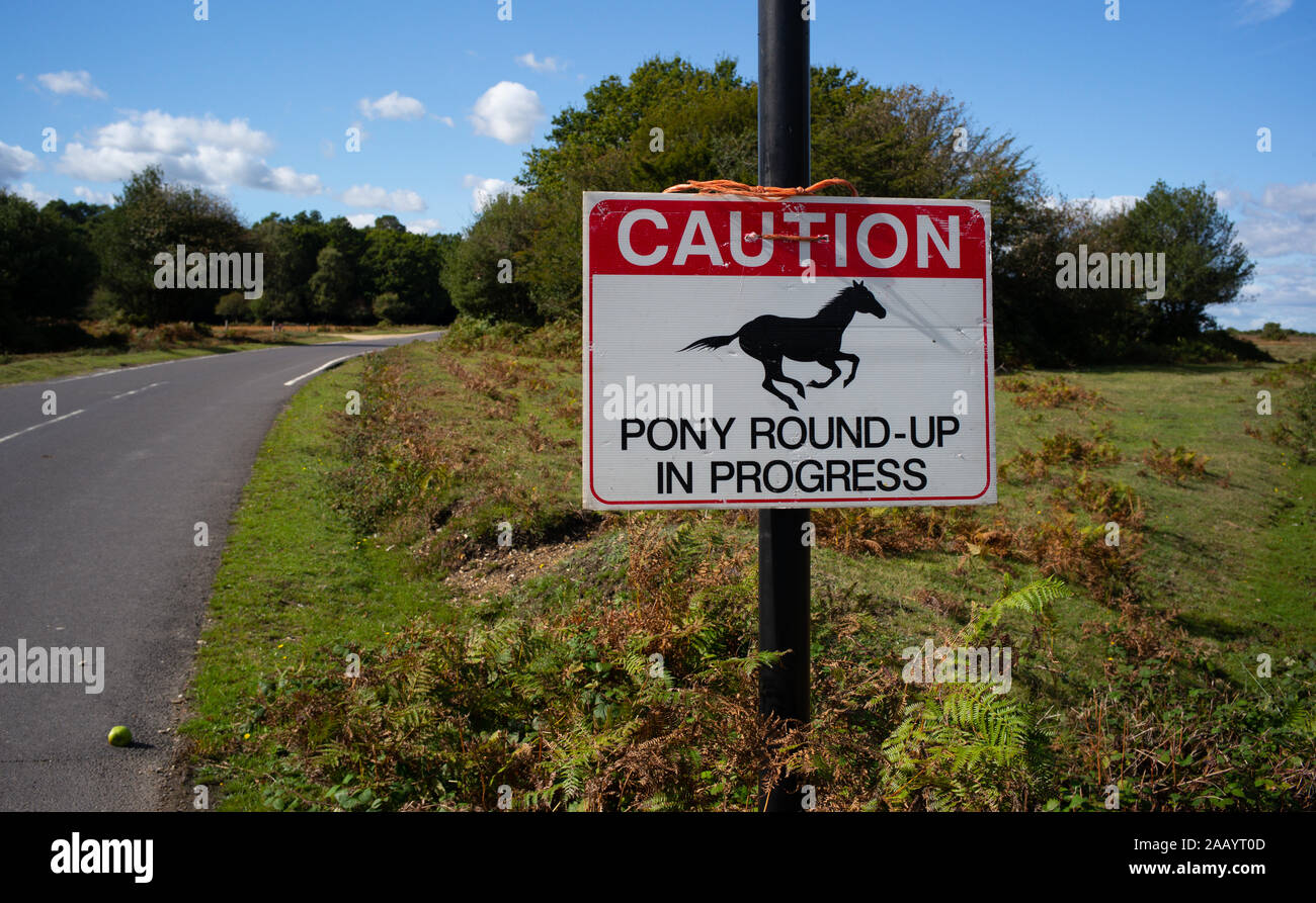 Signs in the New Forest national park Hampshire England warning visitors  of yearly pony round commonly known as drifts. Stock Photo
