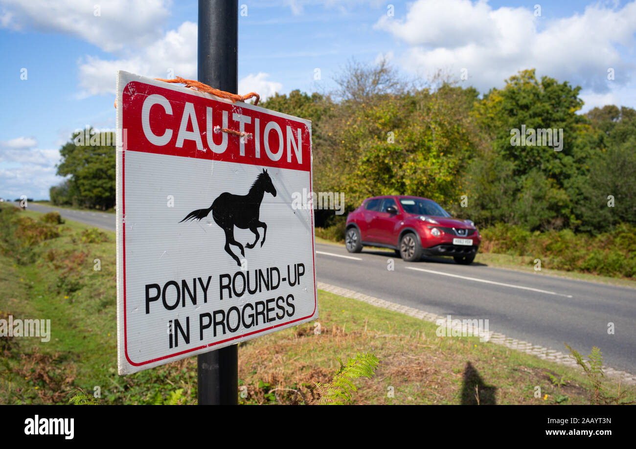Signs in the New Forest national park Hampshire England warning visitors  of yearly pony round commonly known as drifts. Stock Photo