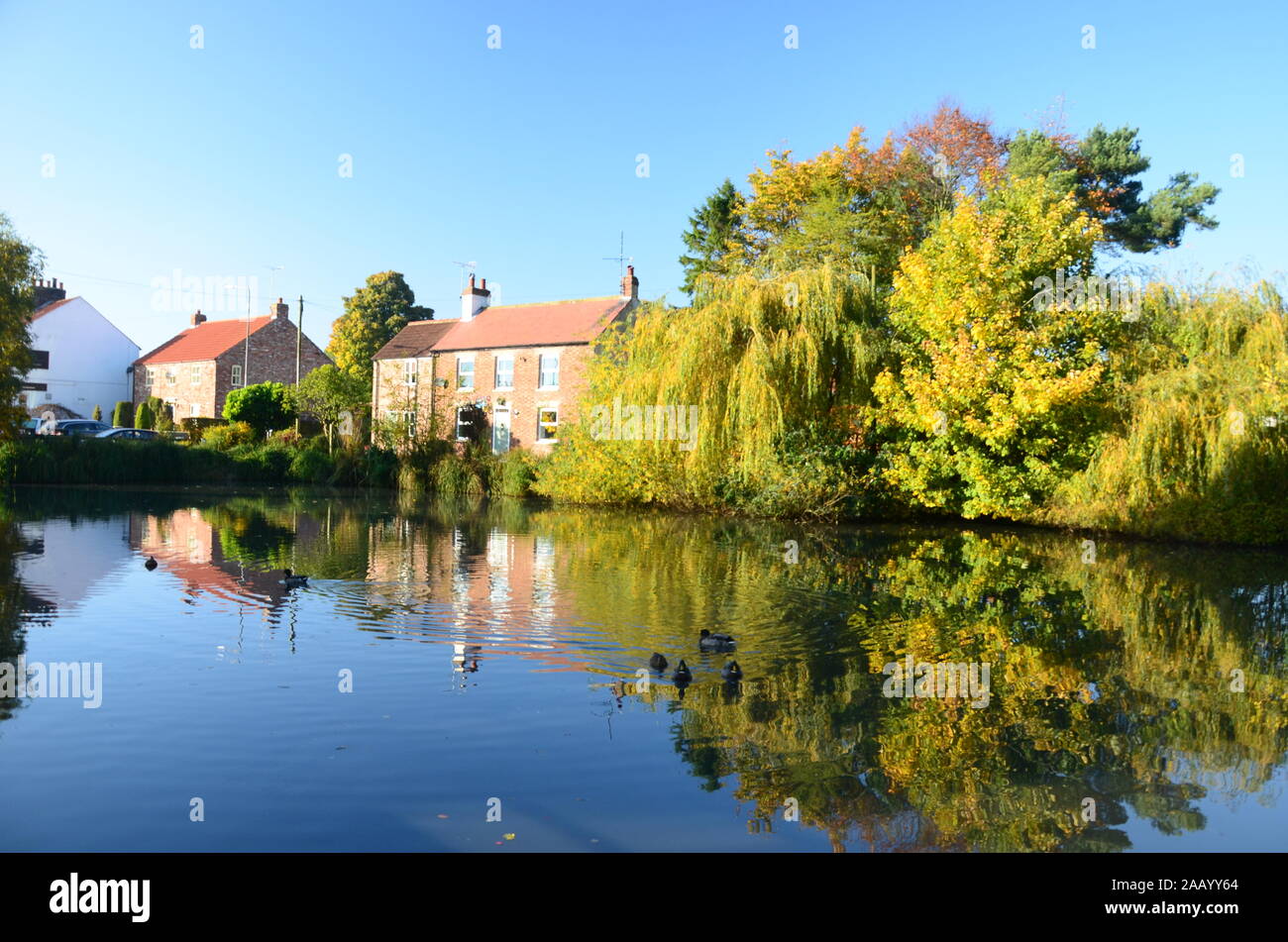 Wetwang Village Pond , Yorkshire Stock Photo