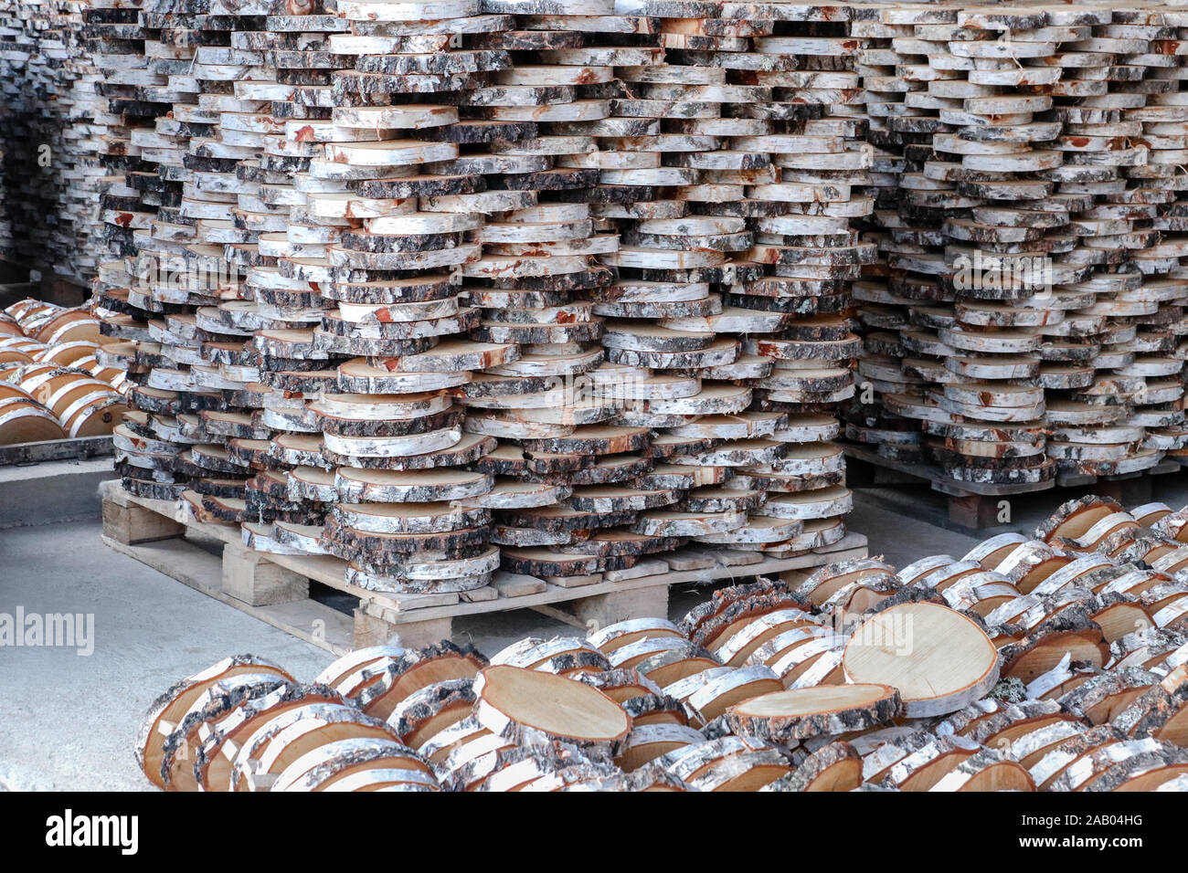 Bunch of Circle cutted pieces of birch trees in the wood industry factory. Stock Photo
