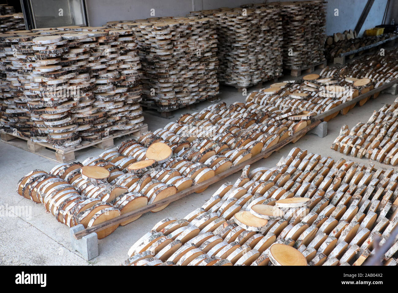 Wood industry - Bunch of Circle cutted pieces of birch trees in the wood industry factory. Stock Photo