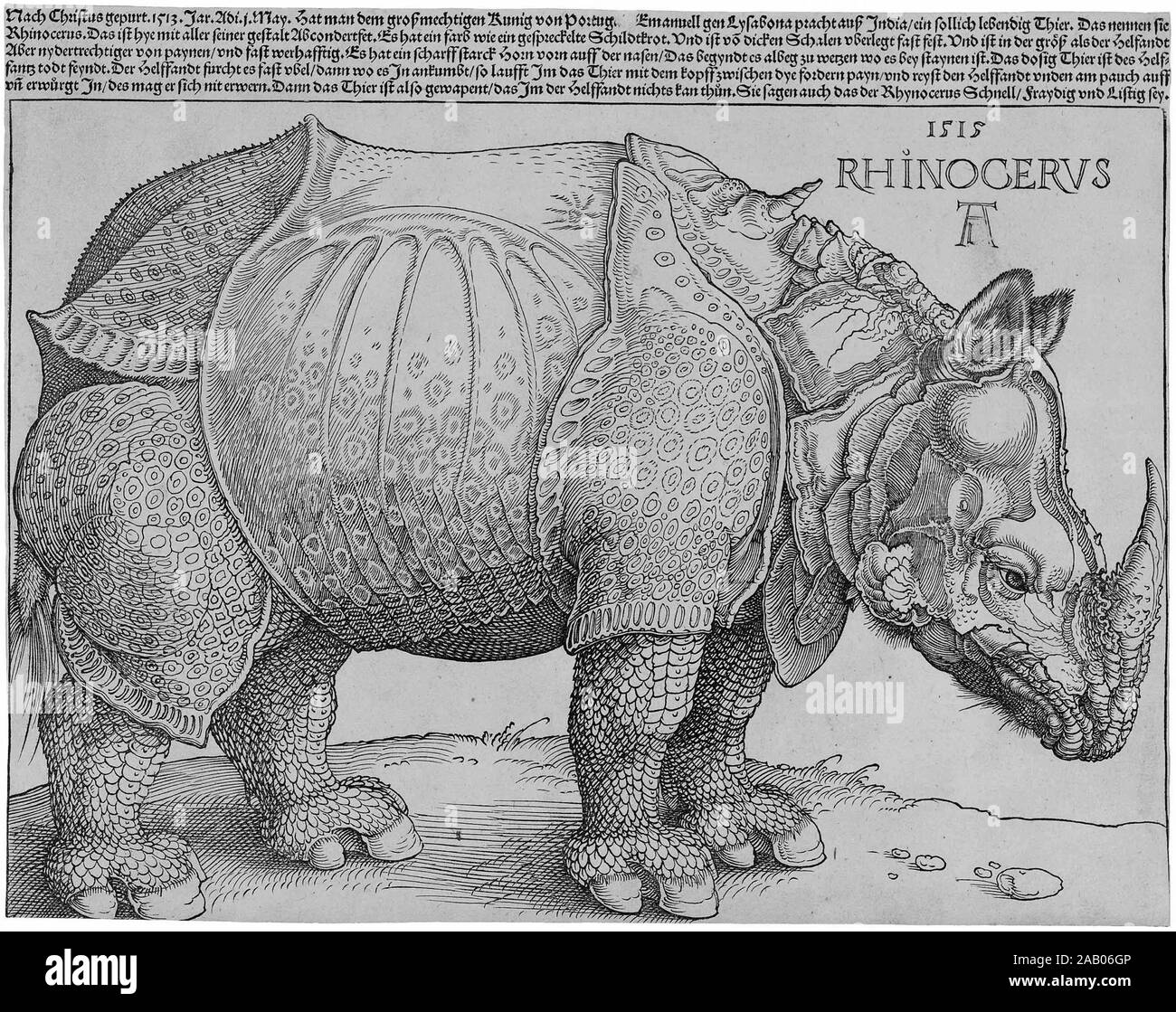 Dürer's Rhinoceros, by Albrecht Dürer  (1515) Dürer's Rhinoceros is the name commonly given to a woodcut executed by German painter and printmaker Albrecht Dürer in 1515 Stock Photo