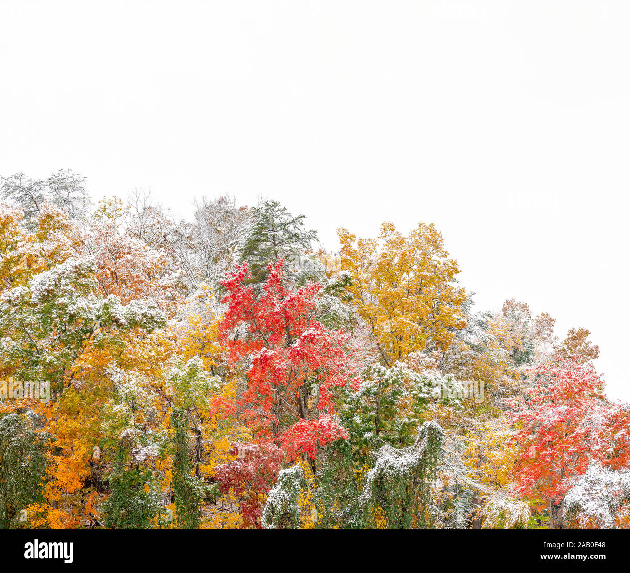Horizontal shot of Smoky Mountains Fall Colors With a Dusting of Snow and white copy space at the top.  Shot diagonally. Stock Photo