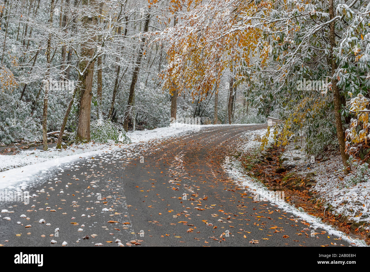 Horizontal shot of a snowy mountain road. Stock Photo