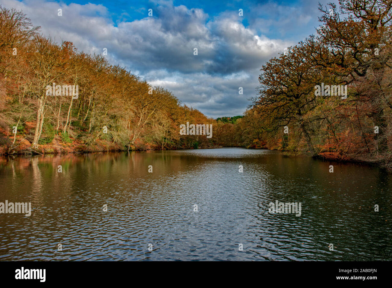 Hammer Ponds High Resolution Stock Photography and Images Alamy