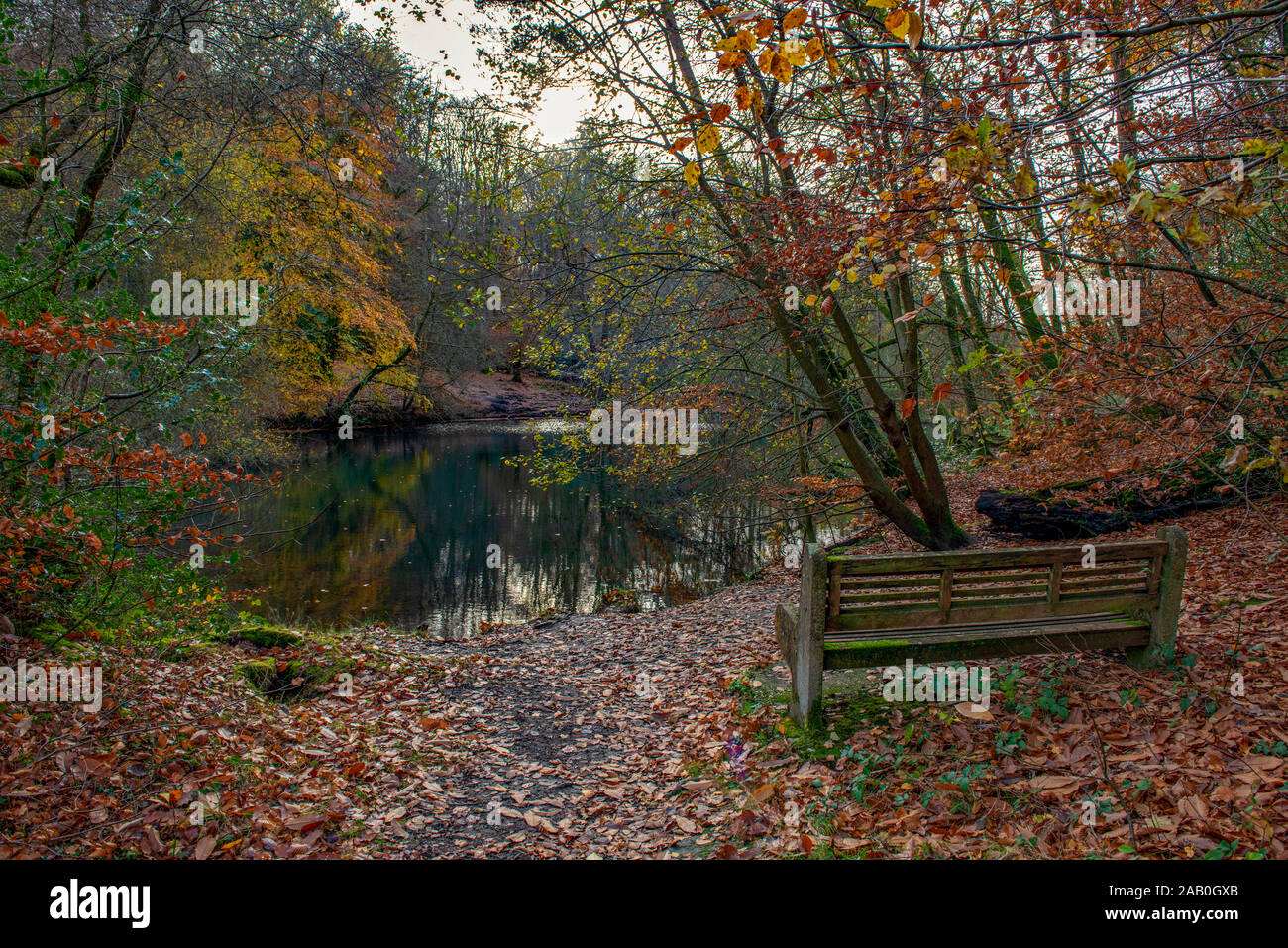 Hammer ponds hires stock photography and images Alamy