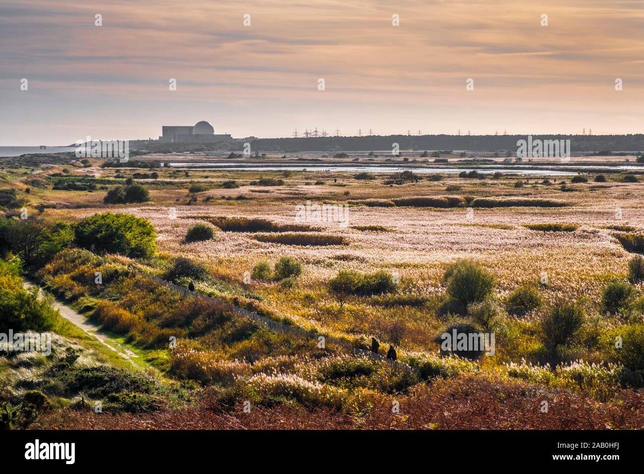 Autumn at Dunwich, Suffolk, UK. Looking across Minsmere nature reserve towards Sizewell nuclear power station. Stock Photo