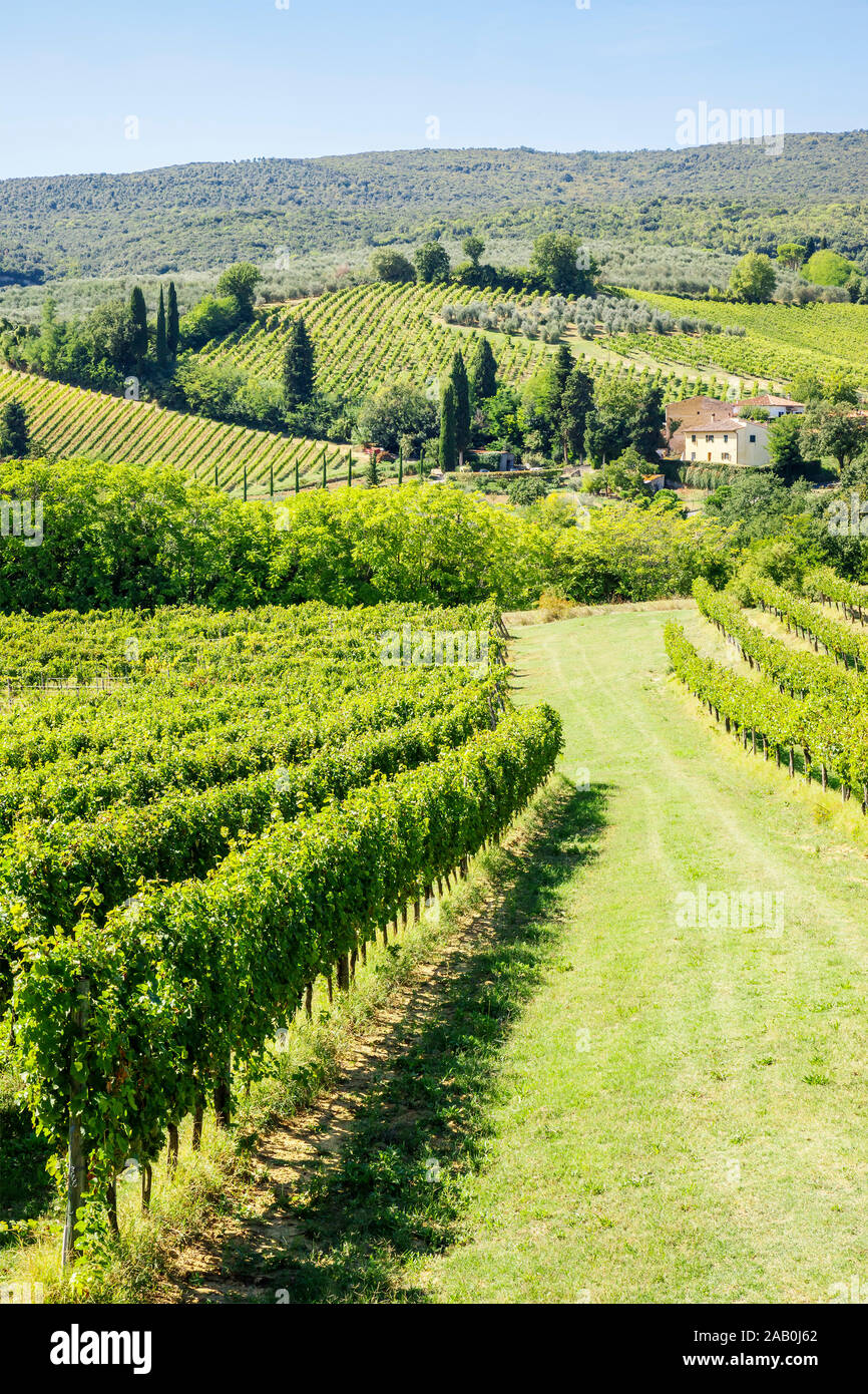 Ein schoenes, idyllisches Weinanbaugebiet in Italien Stock Photo