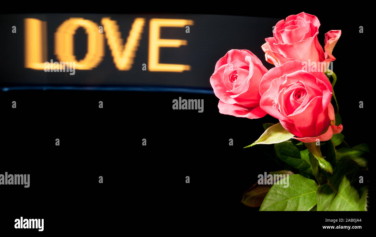 Rosen vor schwarzem Hintergrund und das Wort 'Love' Stock Photo