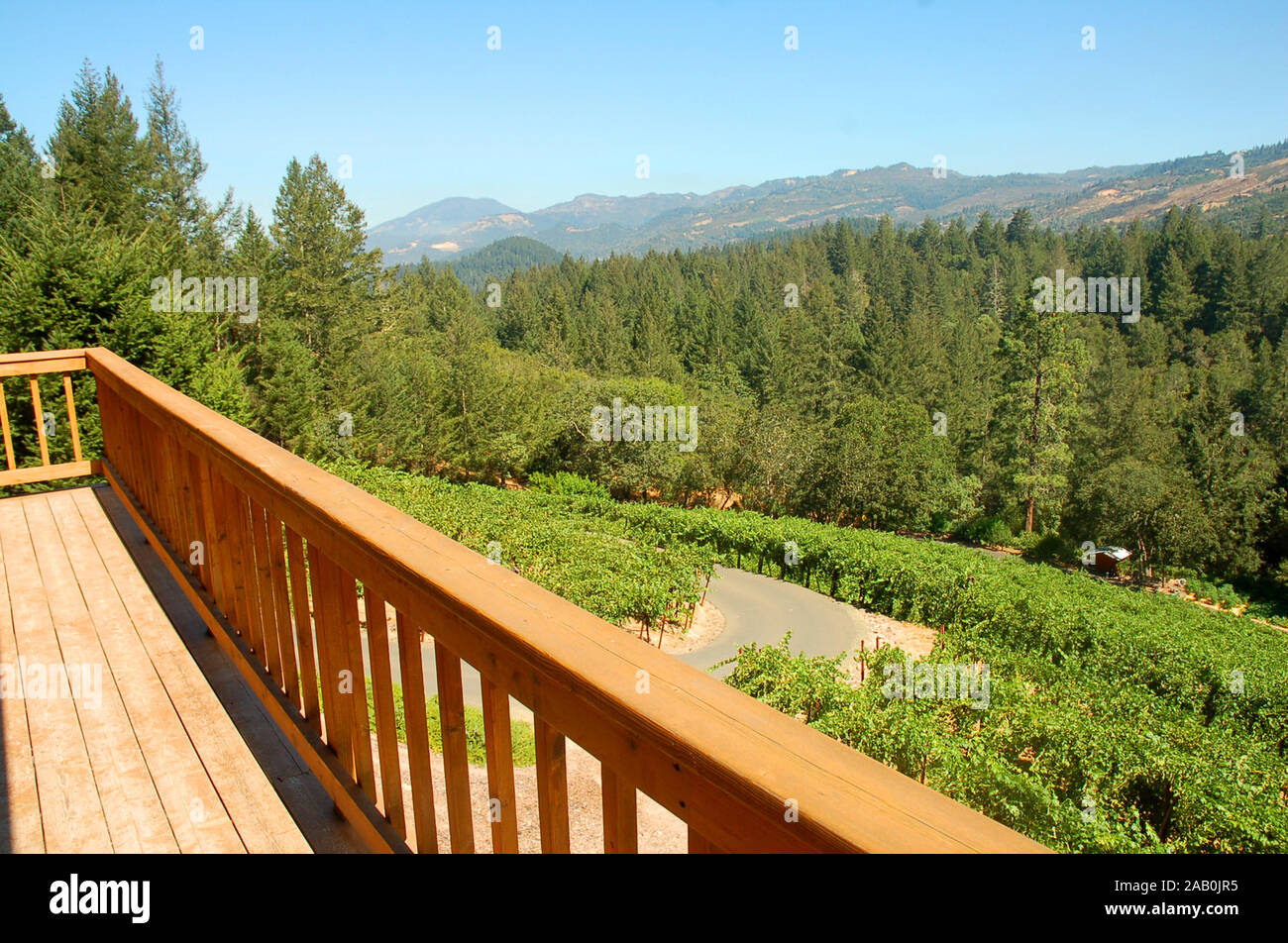 Herb Lamb Vineyards in Napa Valley, St. Helena California. Herb Lamb