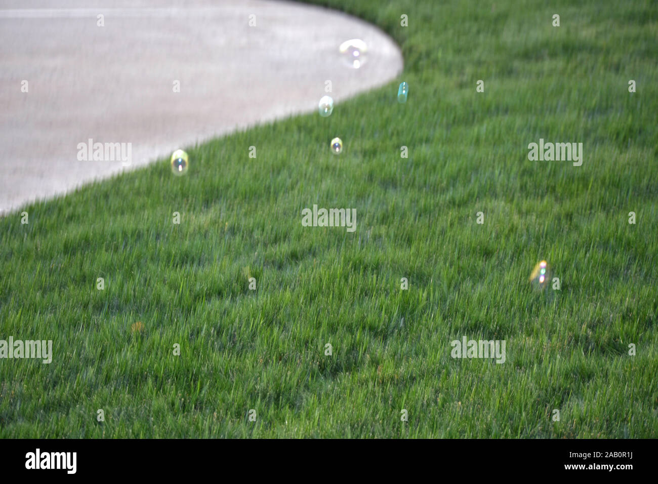 Soap Bubbles Floating in the Air Stock Photo - Alamy
