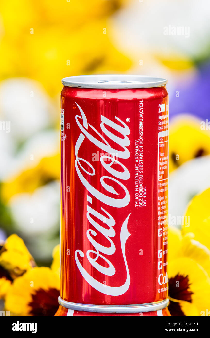 photo of Classic Coca Cola can, CocaCola Company is the most popular market leader carbonated