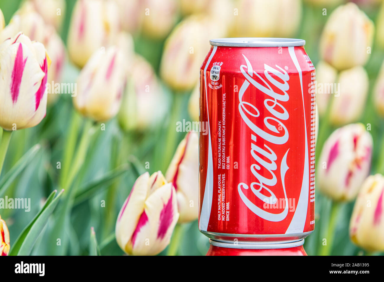 photo of Classic Coca Cola can, CocaCola Company is the most popular market leader carbonated