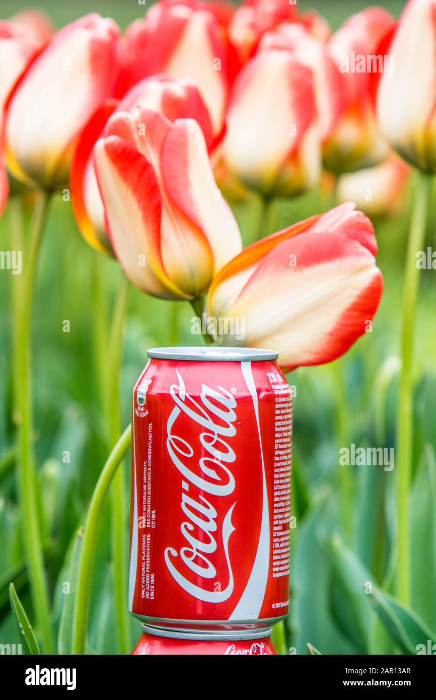 photo of Classic Coca Cola can, CocaCola Company is the most popular market leader carbonated