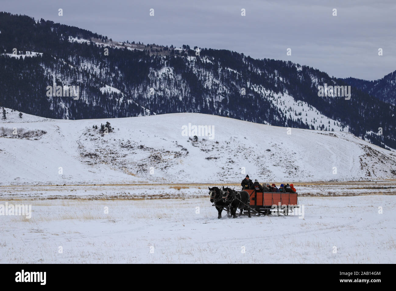 People on a horse drawn sleigh ride in the National Elk Refuge outside of Jackson, Wyoming December 24, 2018 Stock Photo