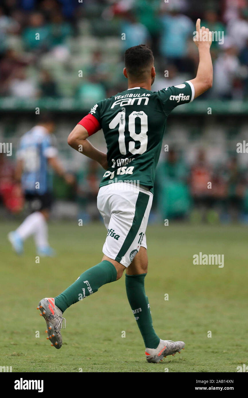 Players of Gremio during the game between Palmeiras and Gremio for the 34th  round of the Brazilian league, known locally as Campeonato Brasiliero. The  game took place at the Allianz Parque in