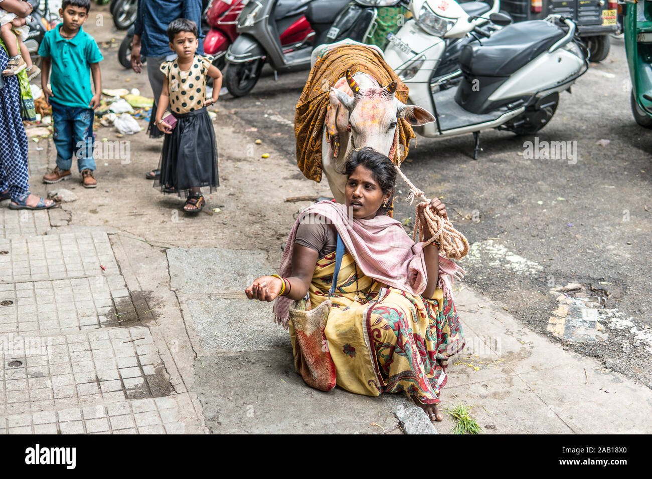 Bangalore, India, 2018 streets of Bengaluru city, Indian Hindu beggar young woman with a holy cow asking people, tourists for money, financial support Stock Photo