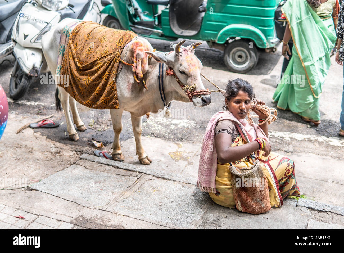 Bangalore, India, 2018 streets of Bengaluru city, Indian Hindu beggar young woman with a holy cow asking people, tourists for money, financial support Stock Photo