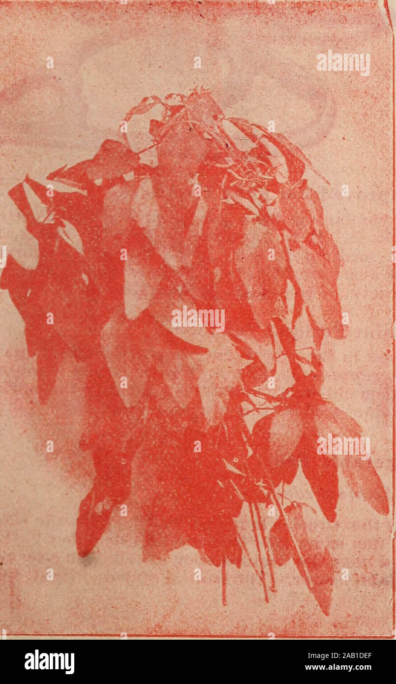 Manual catalogue hires stock photography and images Alamy