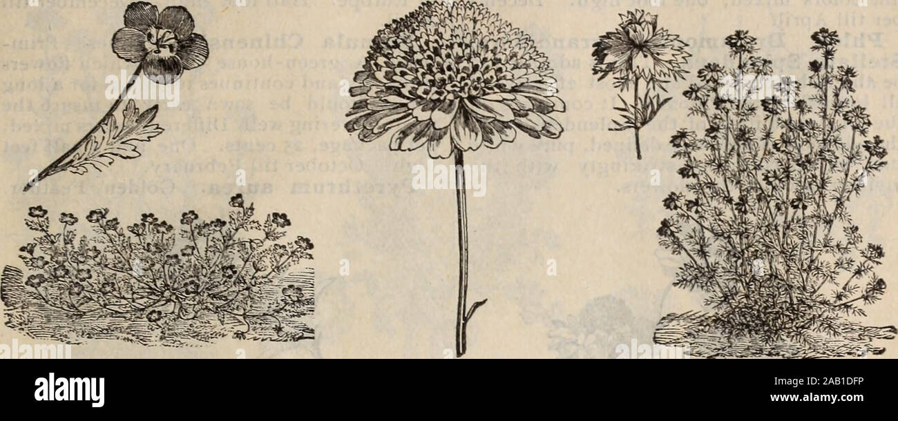 Manual catalogue hires stock photography and images Alamy