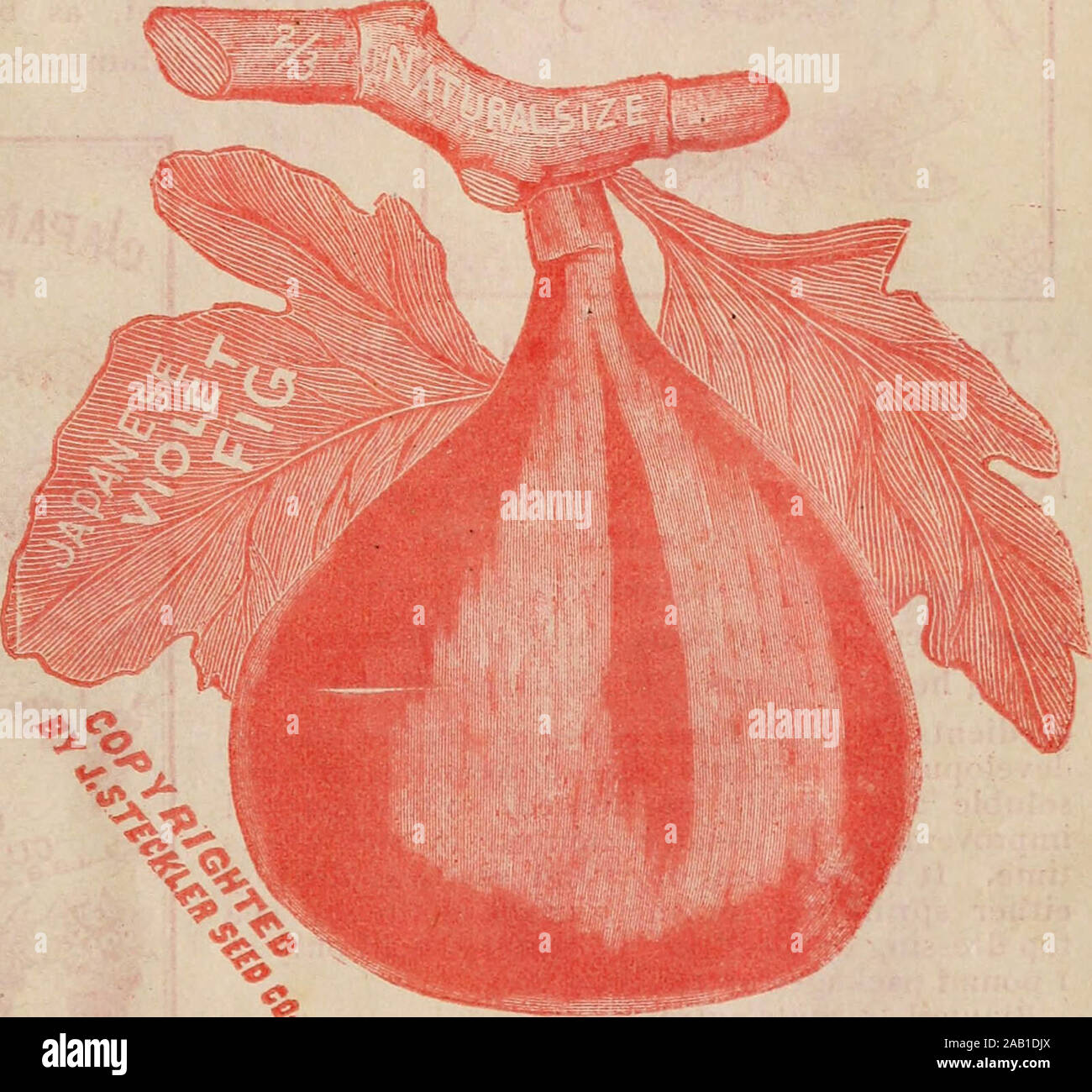 Manual catalogue hires stock photography and images Alamy