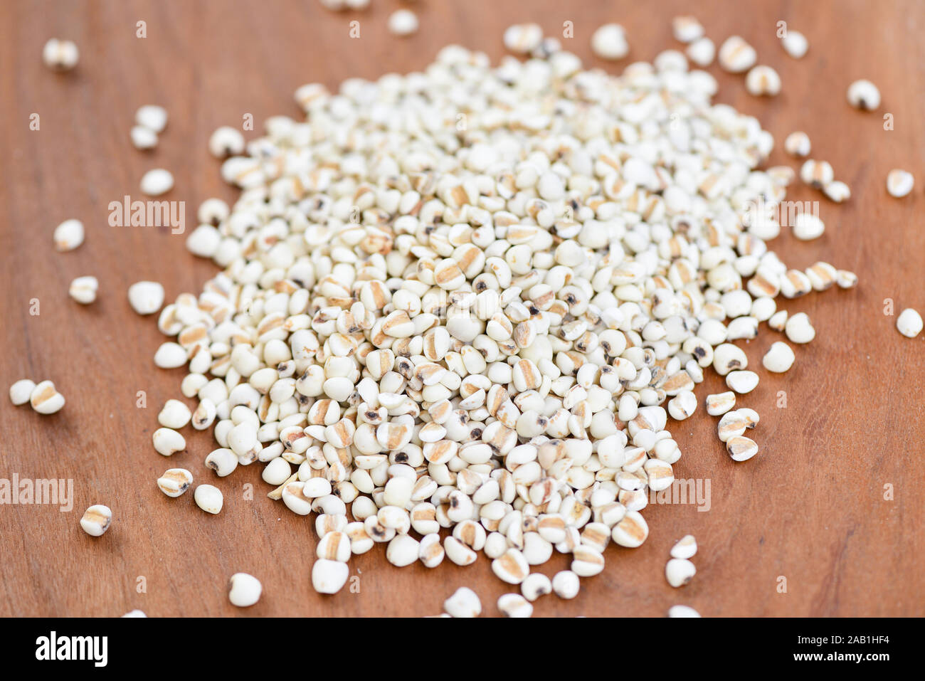 Adlay millet or pearl millet white Job's tears on wood / Coix Lachrymal
