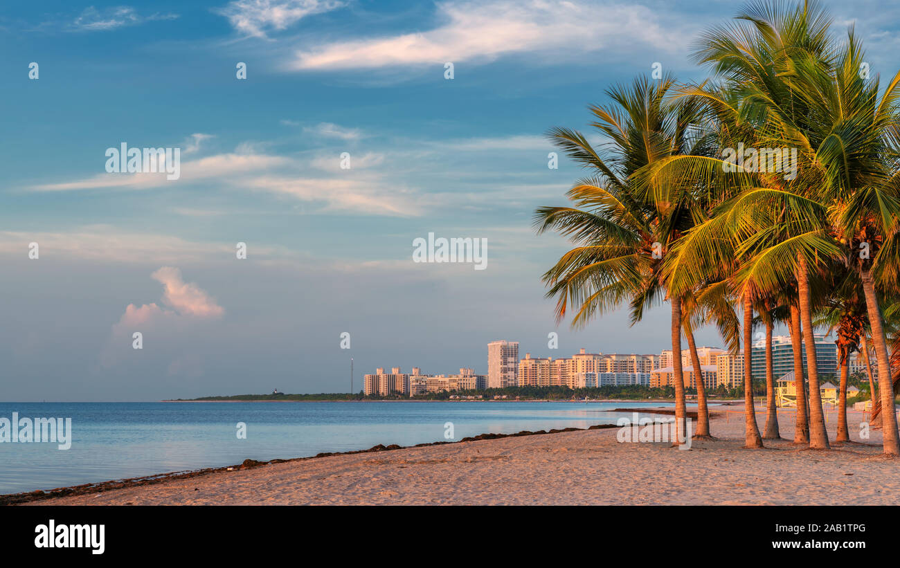 Palm trees at sunrise on Ocean beach, Florida Keys Stock Photo