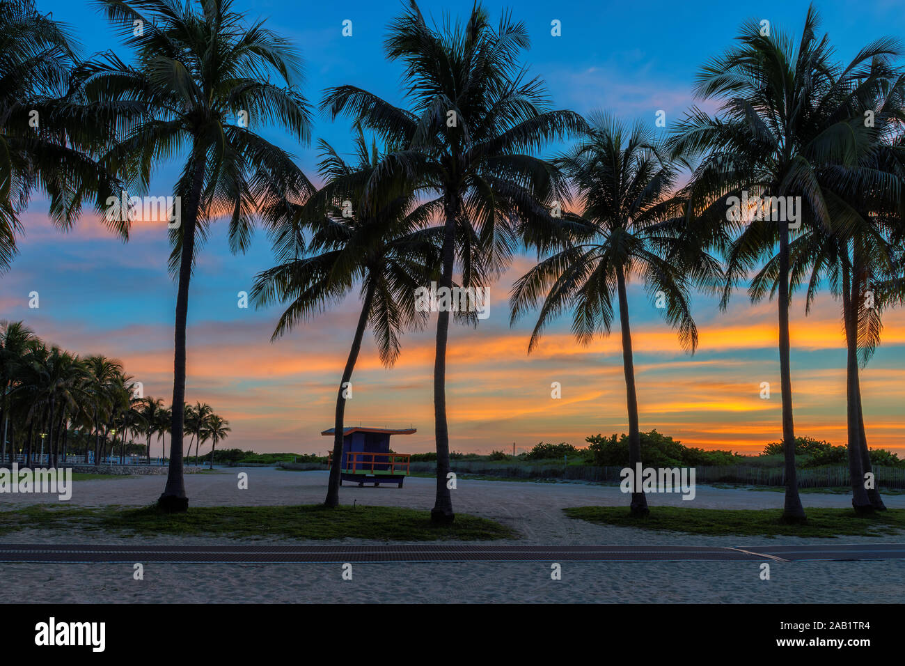 Palm trees at sunrise in Miami Beach, Florida Stock Photo Alamy