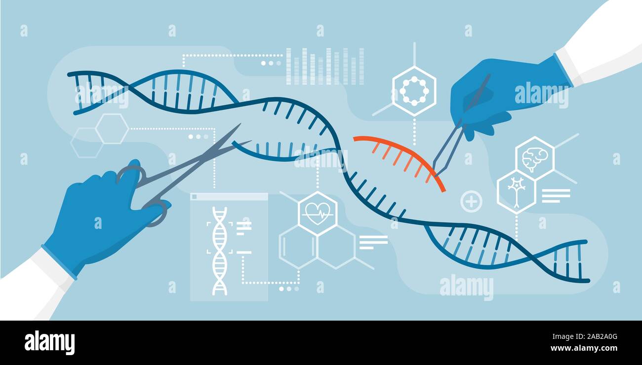 Scientists analyzing DNA helix and editing genome within organisms, CRISPR technology Stock Vector