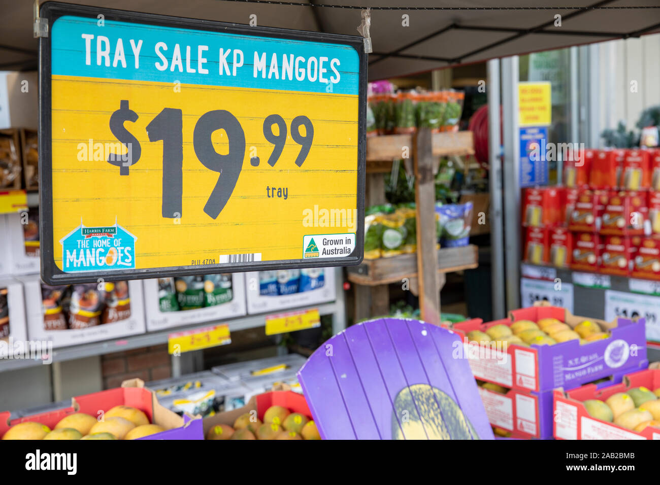 Harris Farm supermarket and trays of mangoes on sale in Sydney,NSW, Australia Stock Photo
