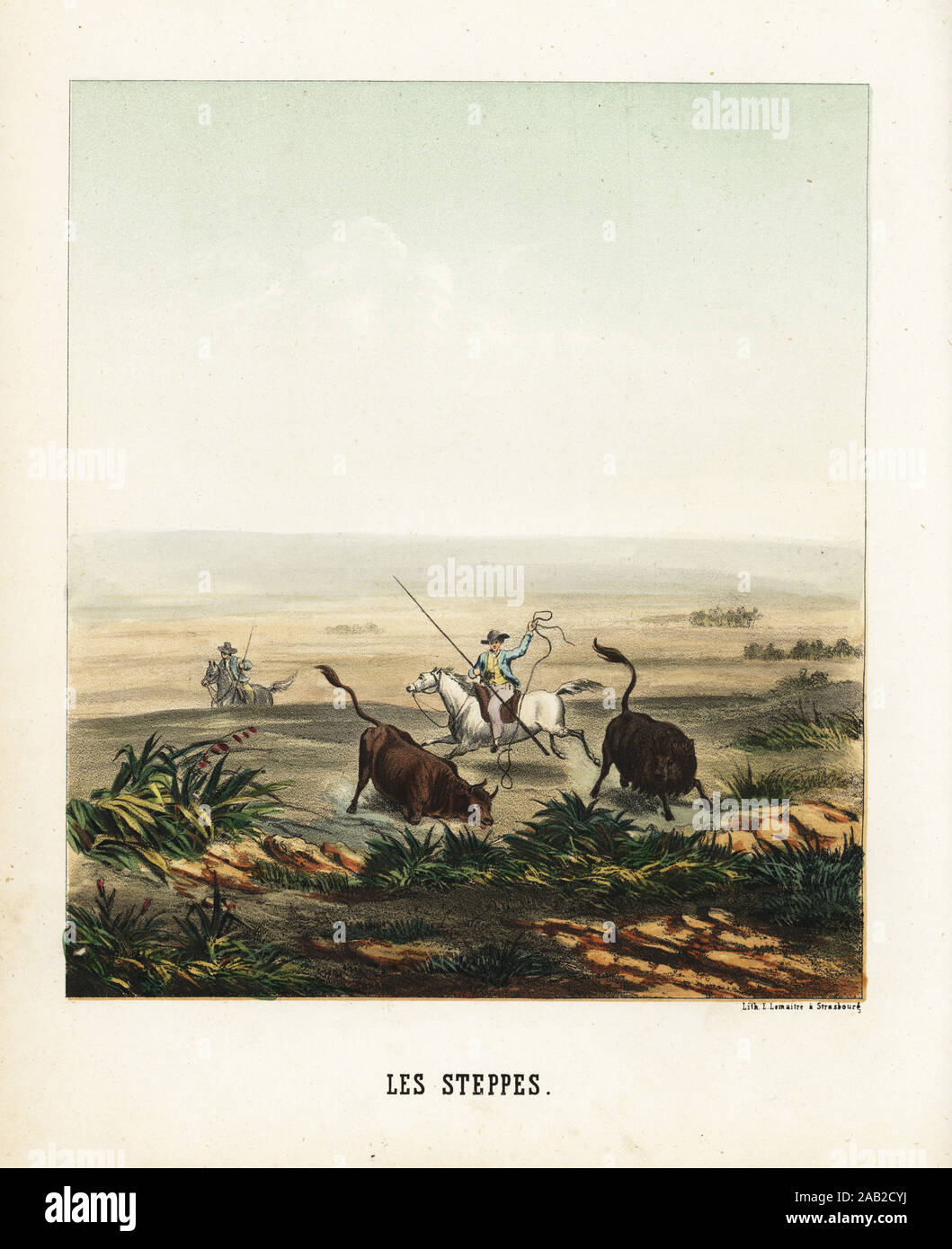 Argentinian gaucho with bolas capturing cattle on the Pampas. Les Steppes. Handcolored lithograph by Emile Lemaitre from Munerelle’s Les Phenomenes et Curiosites de la Nature (Natural Phenomena and Curiosities), Libraire Derivaux, Strasbourg, 1856. Stock Photo