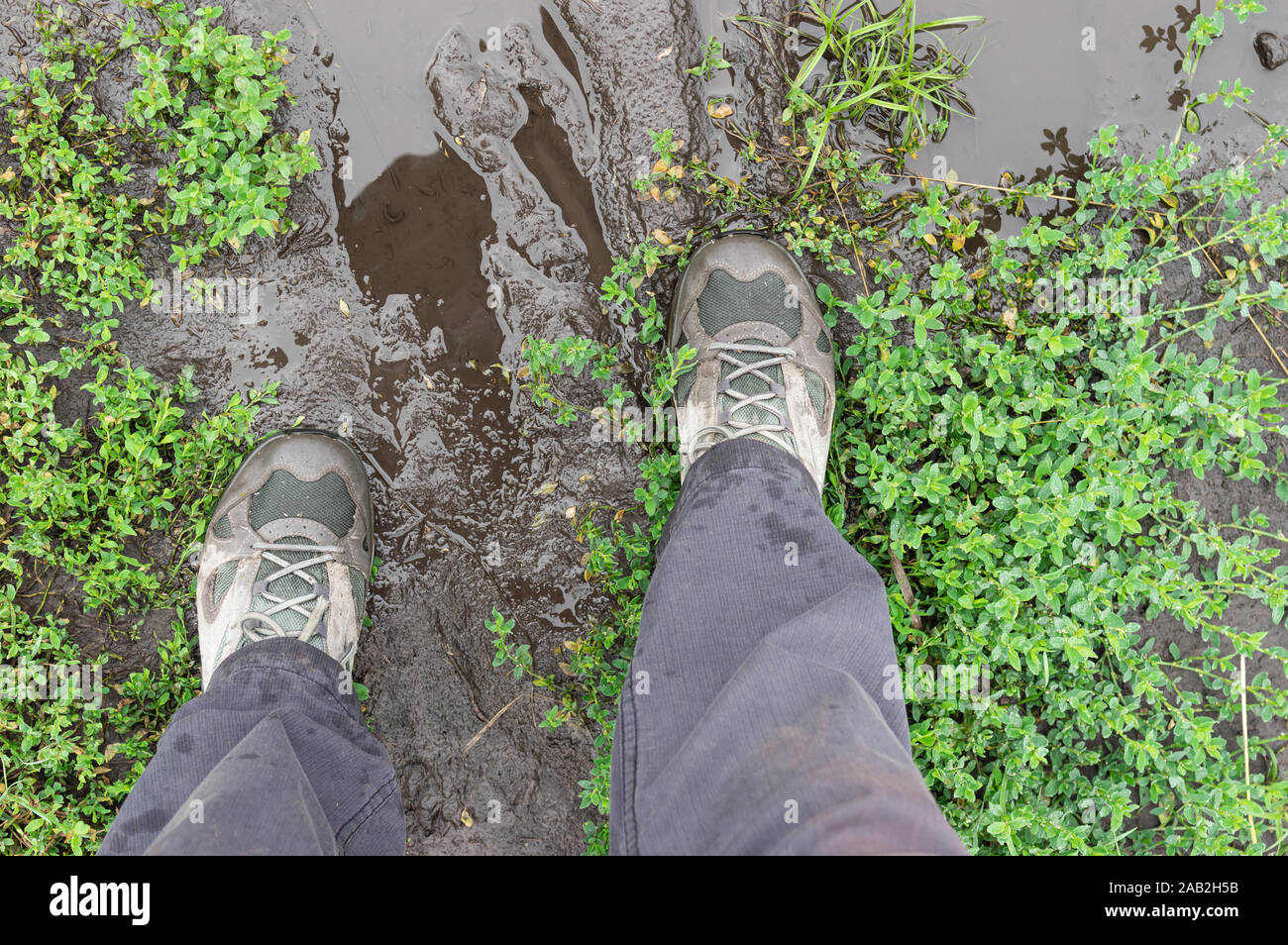 Top view on men feet wearing sneakers standing on miry earth road Stock Photo