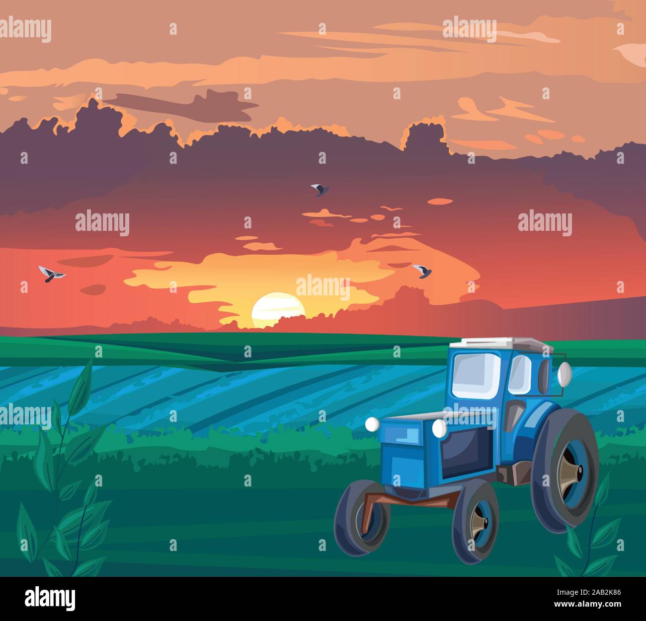 Blue Tractor in the field at sunset. Warm orange sky with clouds