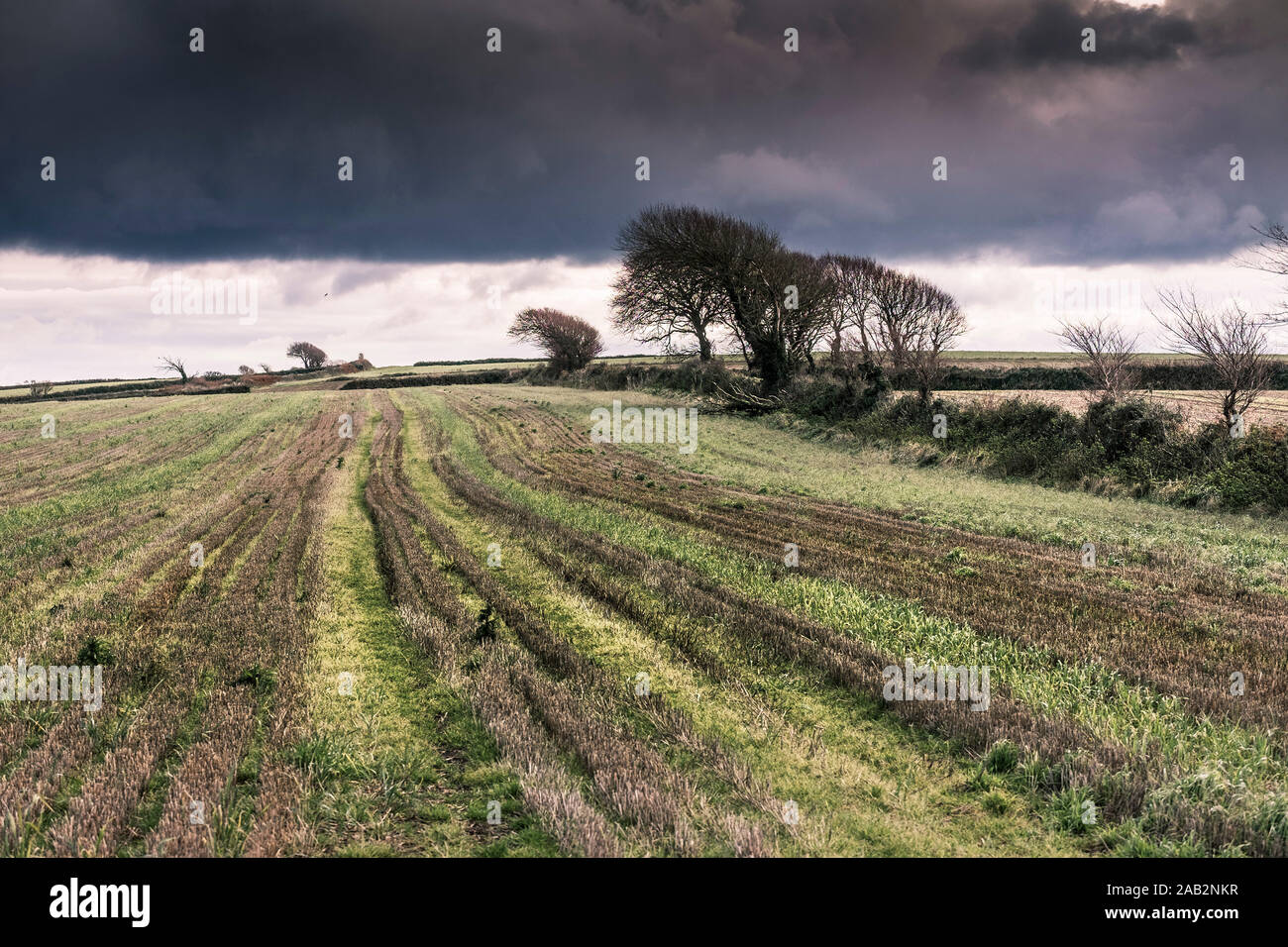 Thunder storm building over farmland in Cornwall. Stock Photo