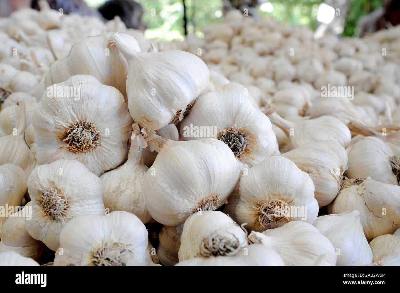 Stall selling fresh garlic hi-res stock photography and images - Alamy