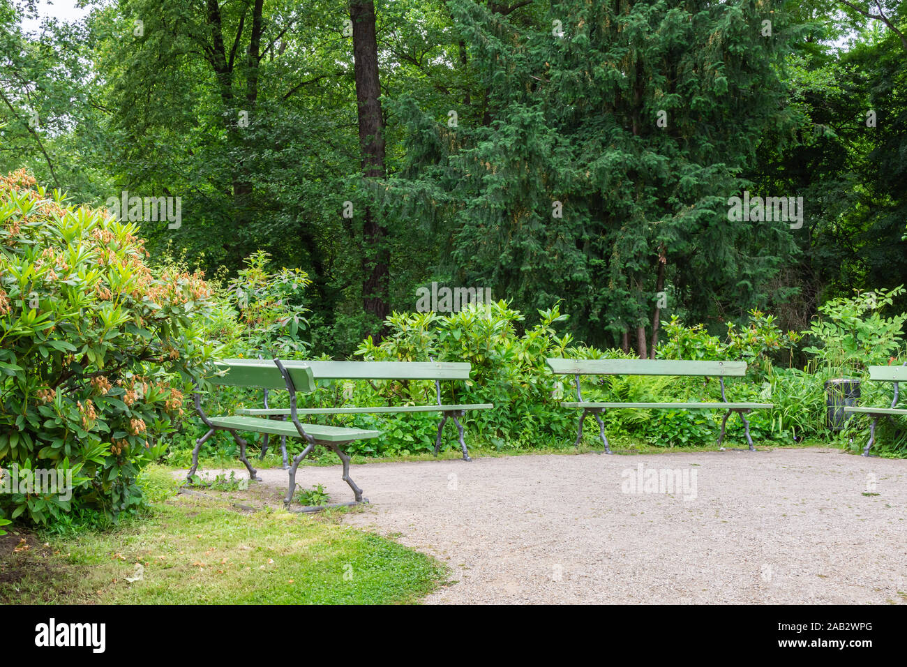 The Tiergarten Walk Through The Green Beautiful Park In Central