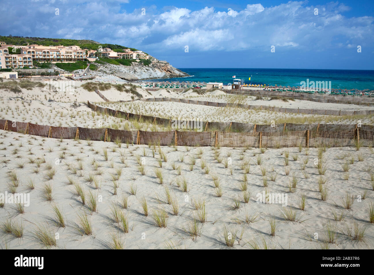 Protected area with dune grass, sourrounded by fence, conservation area at Cala Mesquida, Cala Ratjada, Mallorca, Balearic islands, Spain Stock Photo