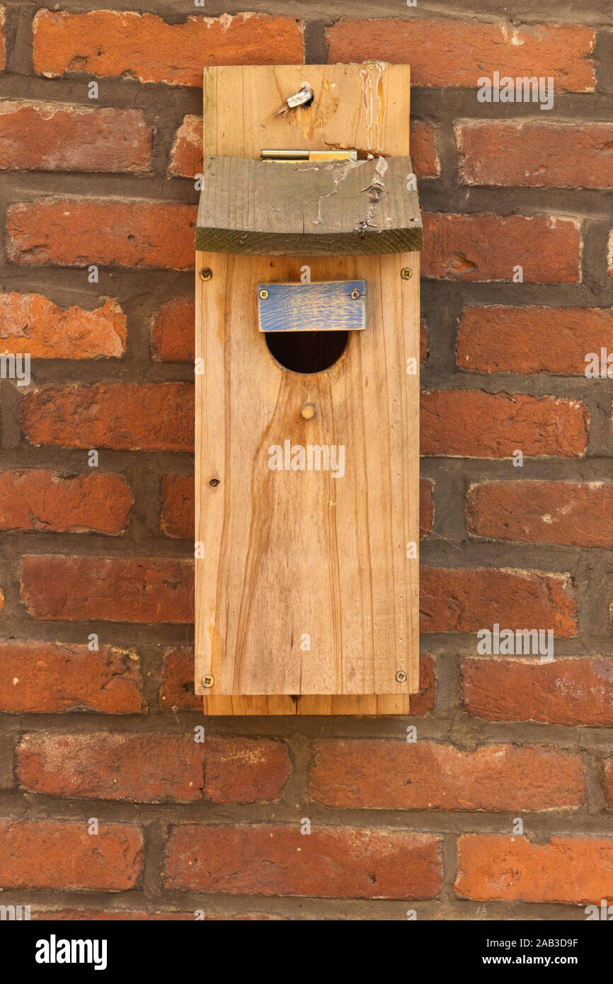 Ein alter Nistkasten an einer Hauswand |An old nest box on a wall| Stock Photo