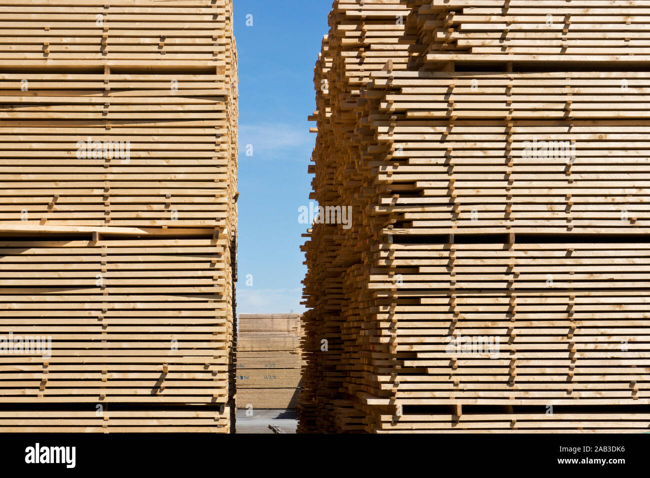 Gestapelte Holzlatten auf einem Industriegelände im Hafen |Stacked wooden slats on an industrial site in the harbor| Stock Photo