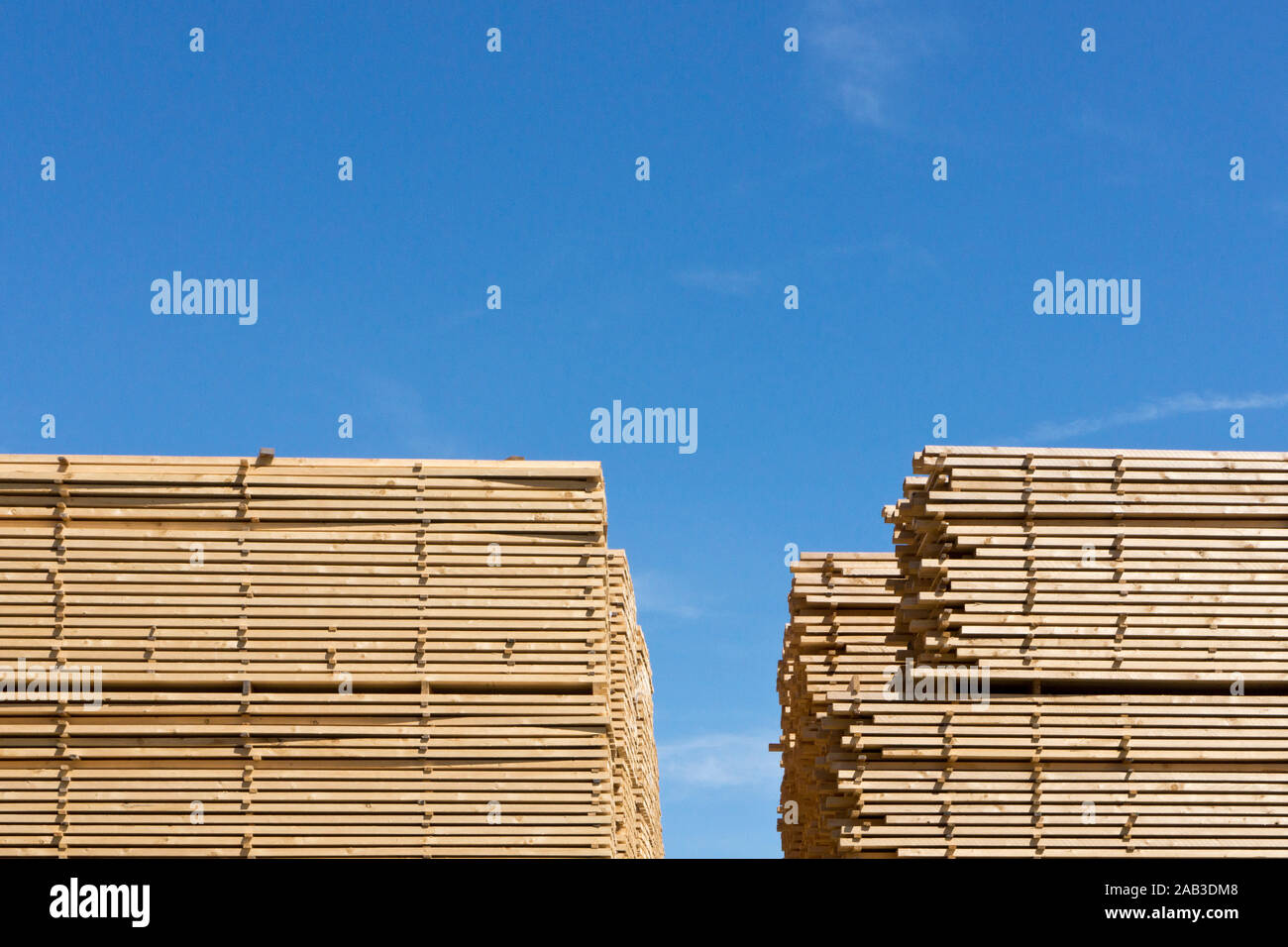 Gestapelte Holzlatten auf einem Industriegelände im Hafen |Stacked wooden slats on an industrial site in the harbor| Stock Photo