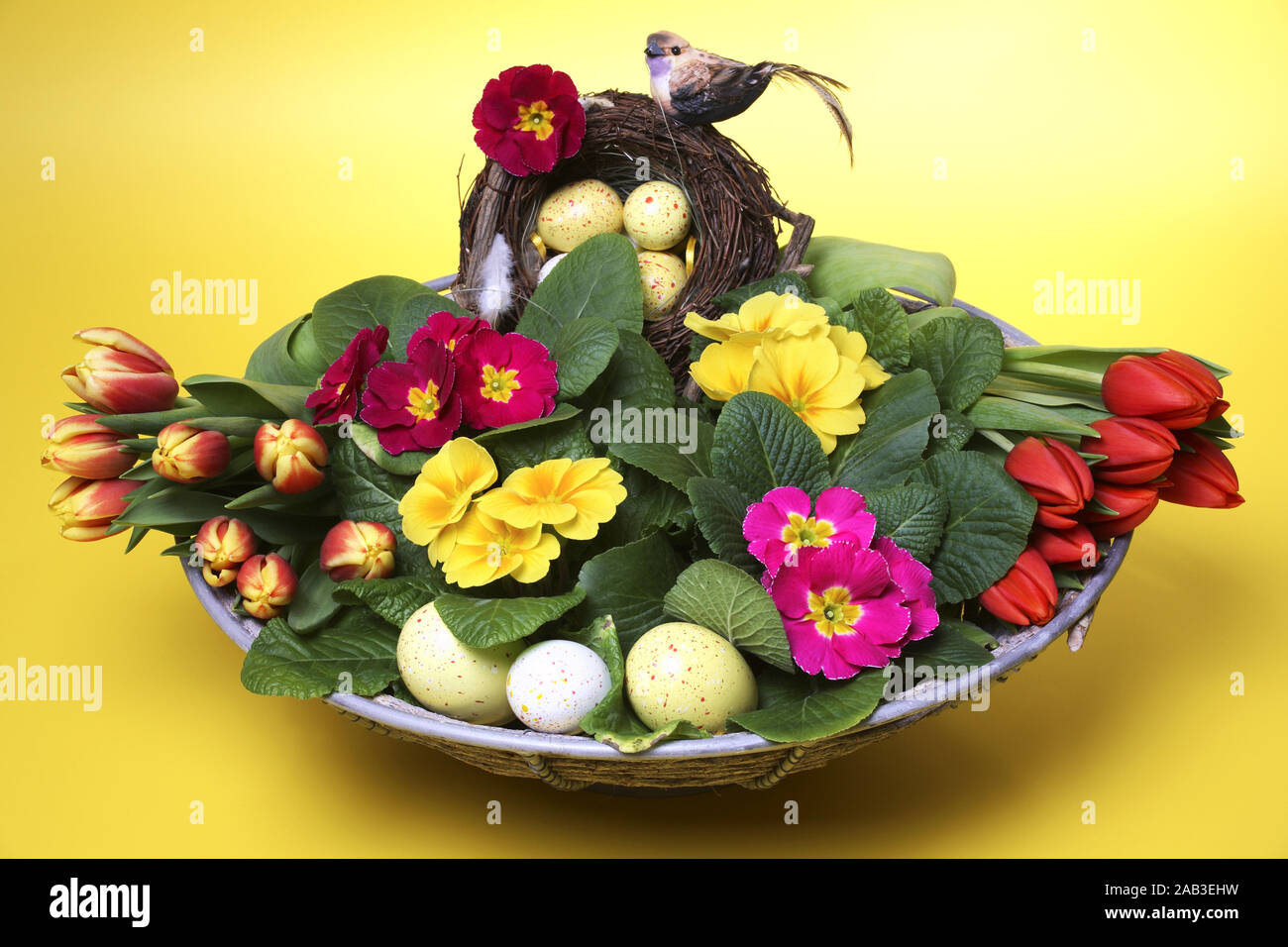 Schale mit Tulpen, Primeln und Ostereiern Stock Photo