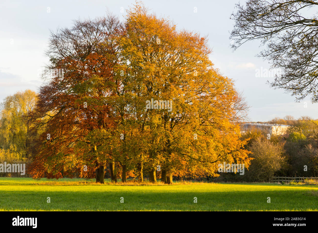 Rusty colour hi-res stock photography and images - Alamy