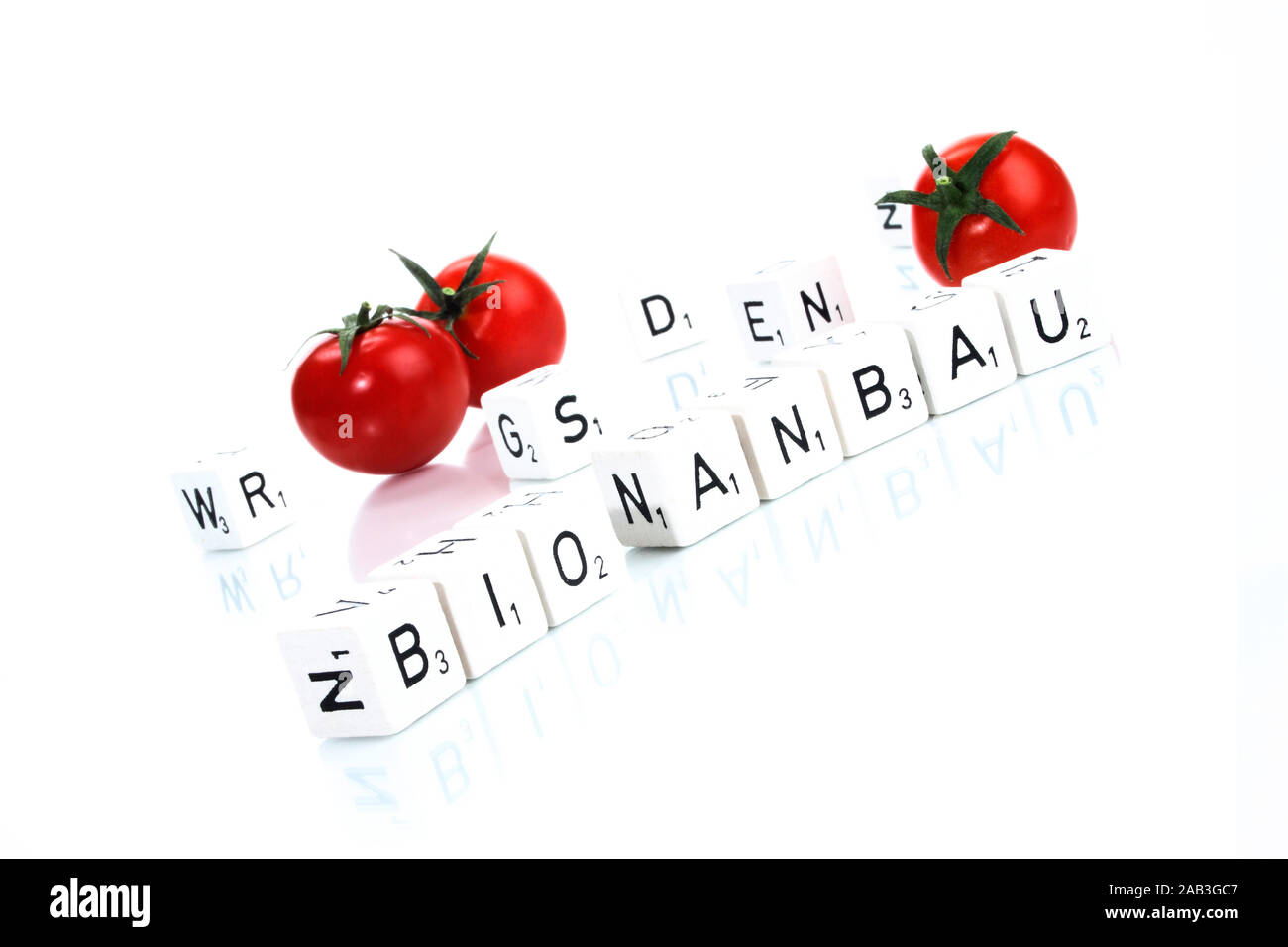 Bio-Tomaten Stock Photo