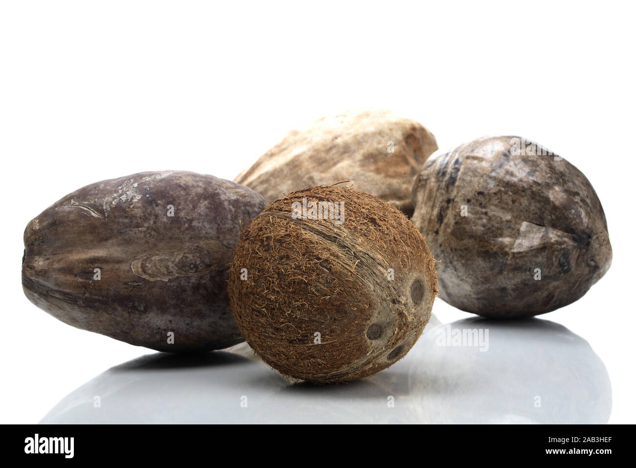 Coconuts - Kokosnuss Stock Photo