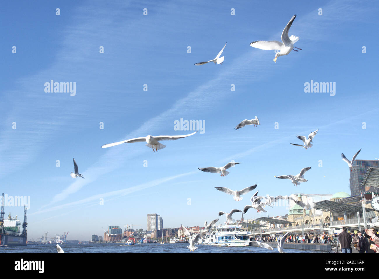 Schiffe im dock hi-res stock photography and images - Alamy