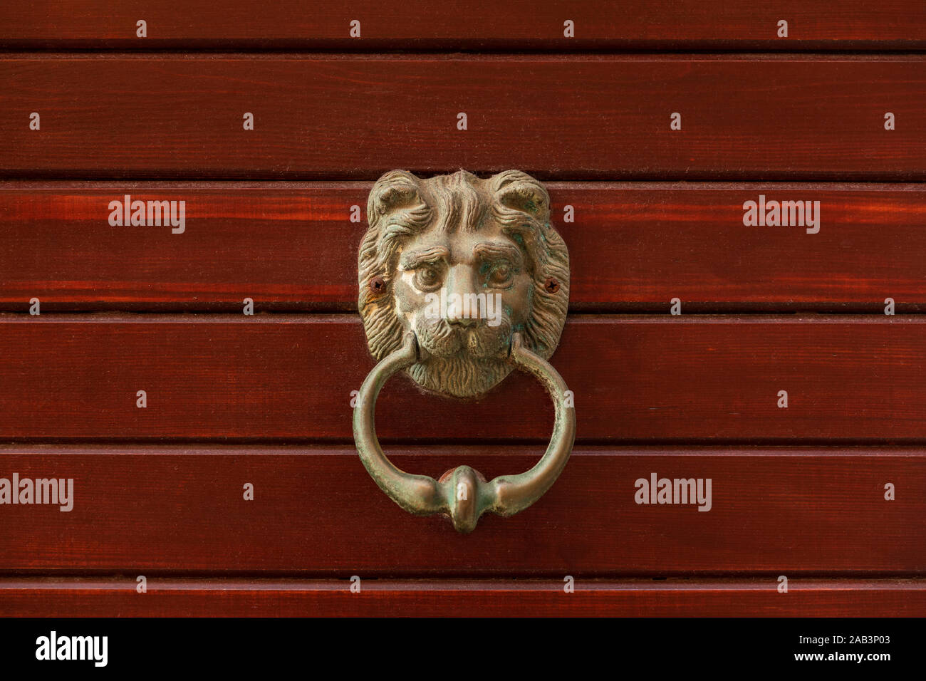 A golden brass door knob with the head of a lion holding a ring in his mouth, round handle. A wooden textured background, red colored horizontal Stock Photo