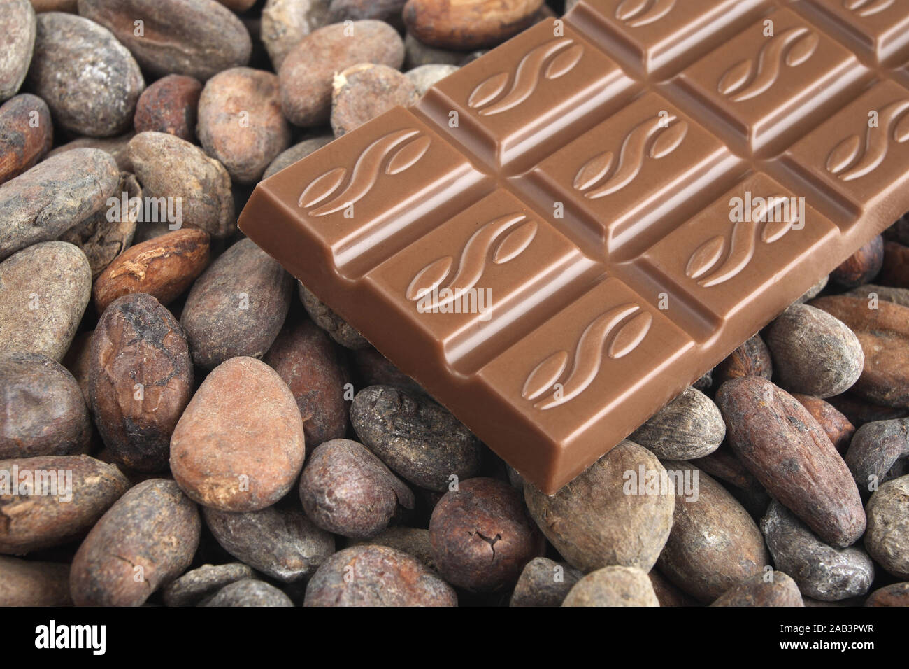 Vollmilchschokolade mit Kakaobohnen Stock Photo
