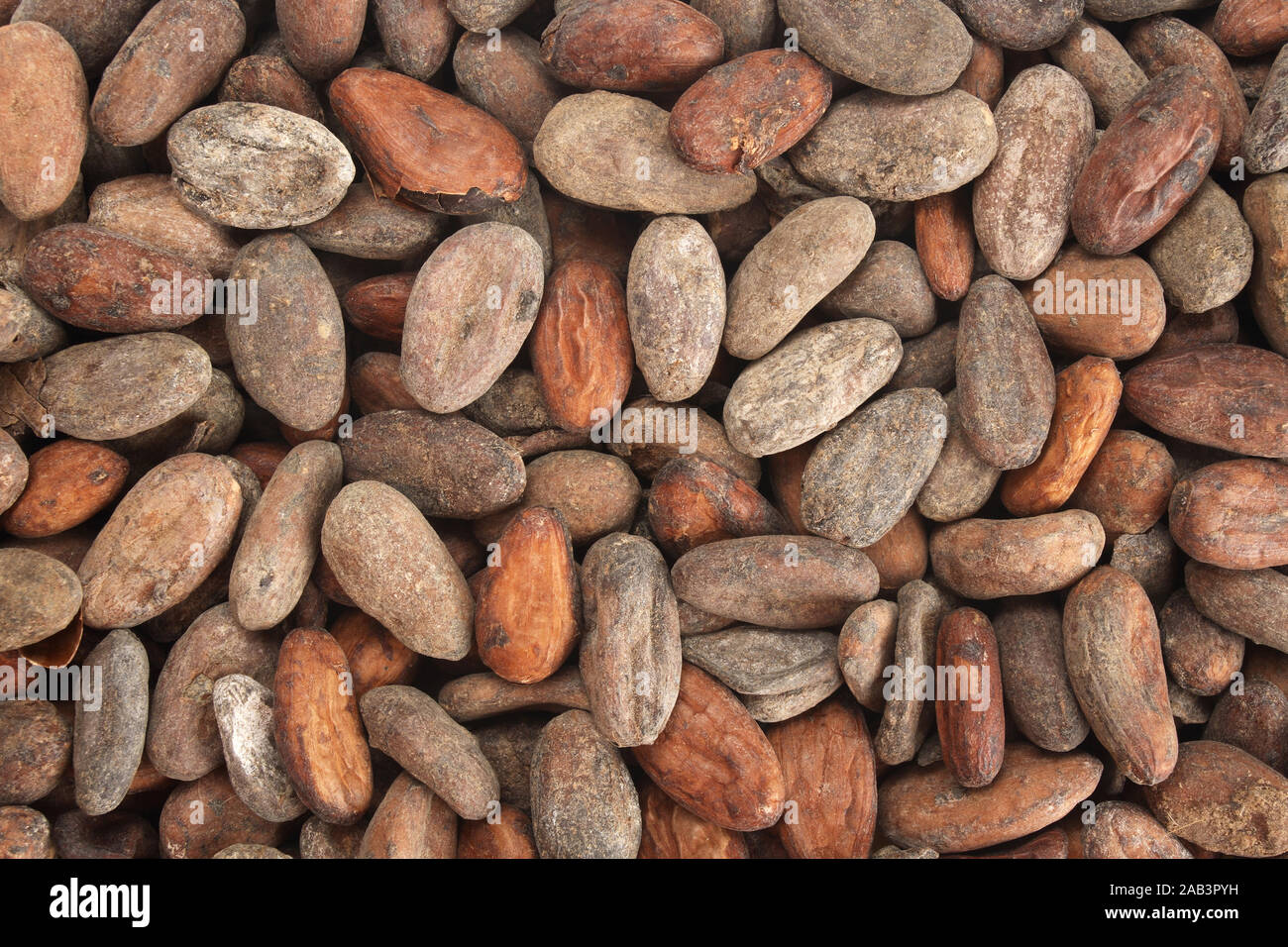 Kakaobohnen High Resolution Stock Photography and Images - Alamy